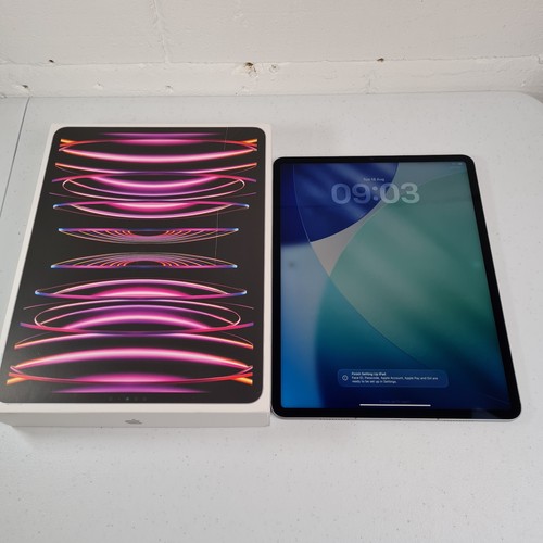 Apple ipad pro - ipad,