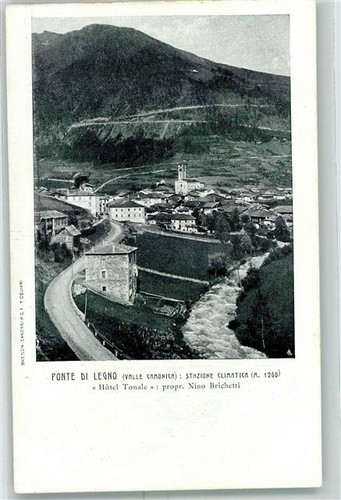 13156321 ponte di legno - -,