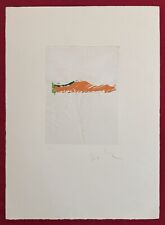 Quadro Mario Schifano Serigrafia ‘paesaggio’ 50x70cm, pop, casa, arredamento