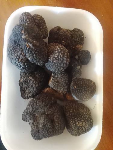 500g tartufo nero fresco - nero,
