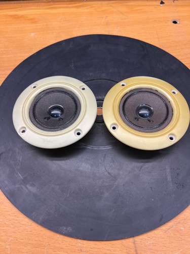 Pioneer coppia - 🌈,