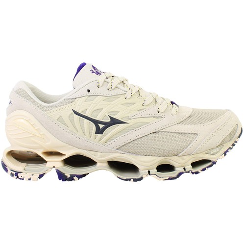 Mizuno wave prophecy - wave,