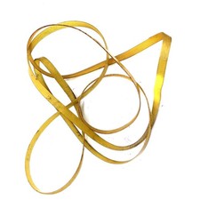 Cinghia di trasporto 3890