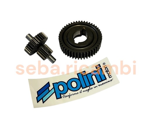 Kit ingranaggi polini - kit, rapporto