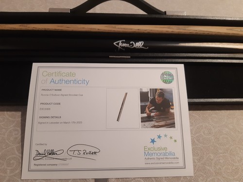 Stecca biliardo snooker - da,