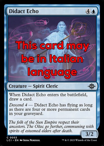 Mtg didact echo - -, eco