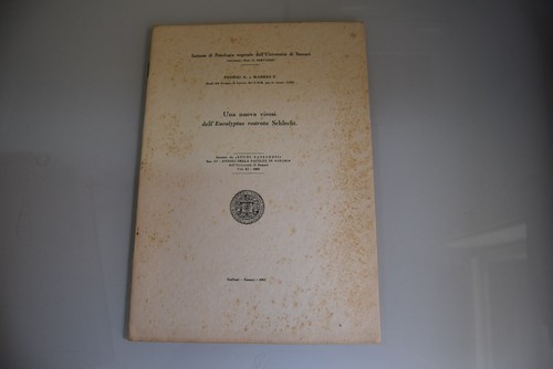Foddai marras una nuova - marras,