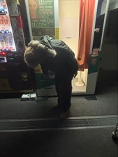 Giacca da volo SPIEWAK N-2B