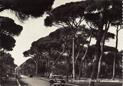 2855 roma fiumicino - 2855, fregene