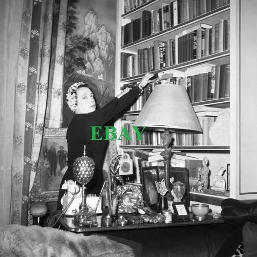 Photographie elsa - photographie, de elsa