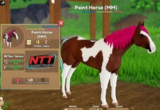 Wild Horse Islands - CAVALLO