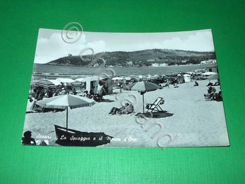 Cartolina scauri - ),