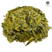 Foglie di ginkgo biloba