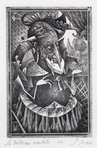 Egresi susanna ballerina - egresi,