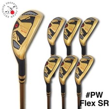 Ferro da stiro ibrido MUTSUMI