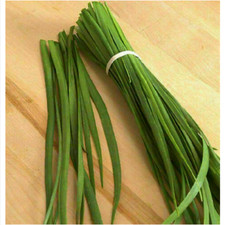 ALLIUM TUBEROSUM - AGLIO