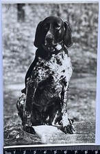 Original old photo Beautiful