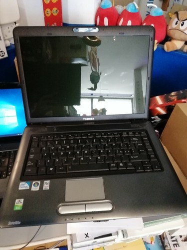 Notebook toshiba satellite - notebook,