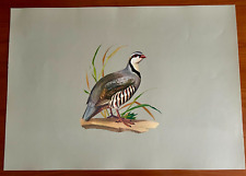 ROBERTO LEMMI - STAMPA