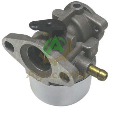 Carburatore briggs stratton - carburatore,