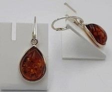 Orecchini In Ambra In Argento