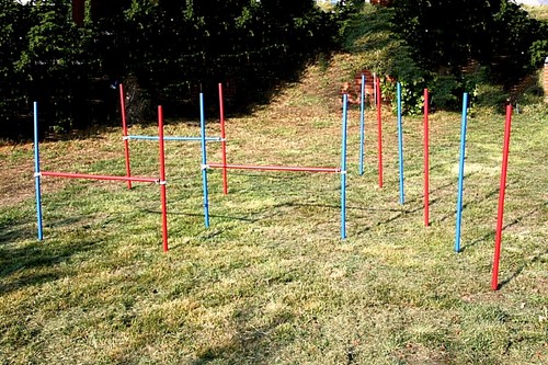 Kit esercizi agility - esercizi, in