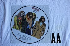 Picture Disc Led Zepplin