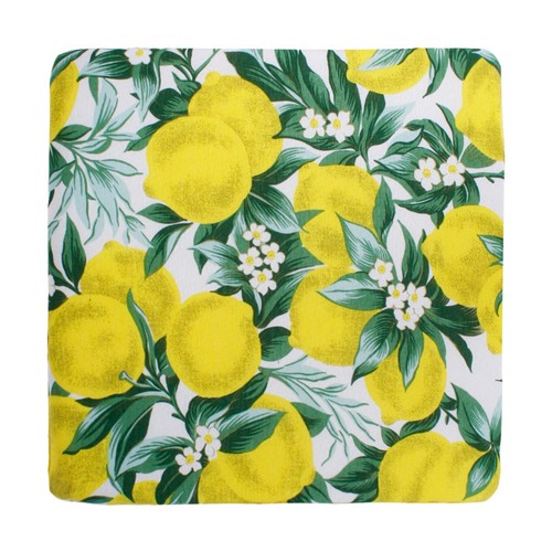Cuscini sedia fascia elastica - fascia,