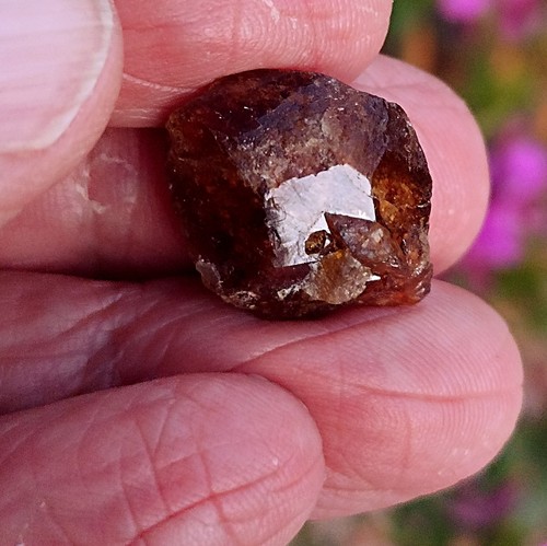 Cristal vesuvianite - vesuvianite, (
