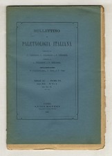 BULLETTINO di paletnologia italiana [...] Diretto da L. Pigorini e P. Strobel...