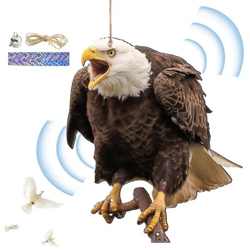 Falco spaventapasseri piccioni - falco,