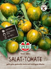 Pomodoro 'Green Zebra' -