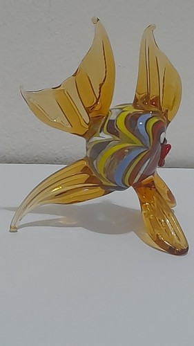 Pesce cristallo colorato - in,