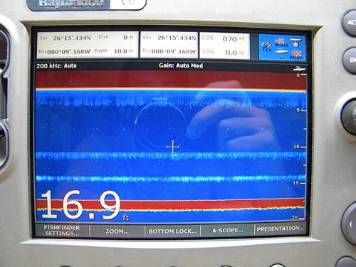 Schermo display lcd - schermo,