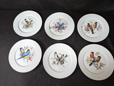 Bellissimi piatti Kuba