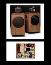 Altoparlanti B&W 801F -
