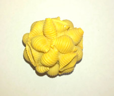 Calamite frigo magnete da