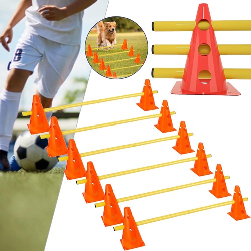 Set agility cani piccoli - cani,