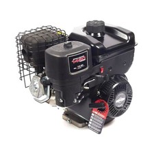 BRIGGS & STRATTON PROFESSION