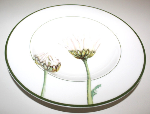 Piatto zuppa flora - piatto,