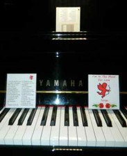 Yamaha Disklavier PianoSoft