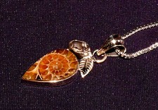 Ciondolo Ammonite, Fossile, E