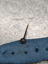 #1364 ROLEX DAYTONA 6263 6265