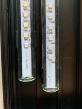 Neon Acquario Marino 