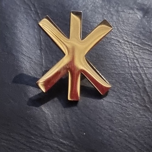 Hagal rune badge gilt - hagal,