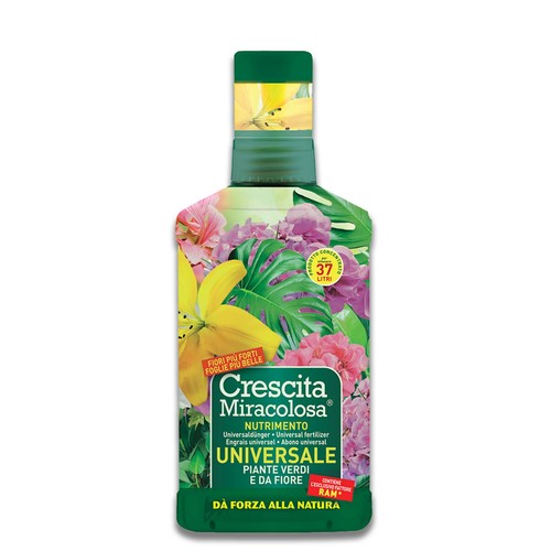 Crescita miracolosa universale - crescita,