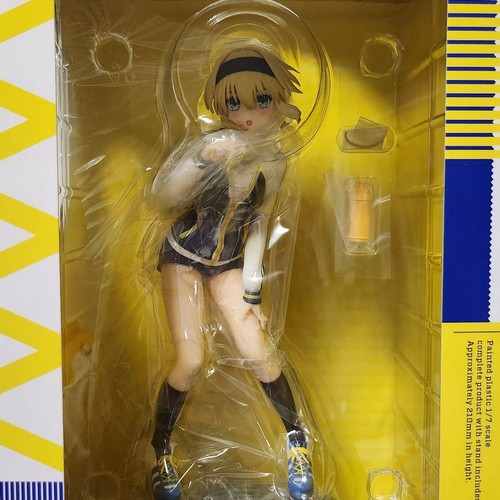 Arturia pendragon knight gym - pendragon,