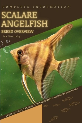Novitsky scalare angelfish - -,