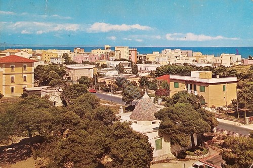 Cartolina marina ginosa - -, di