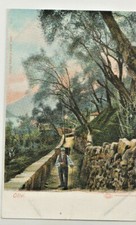 AANNO PRIMI 900' COMO LENNO